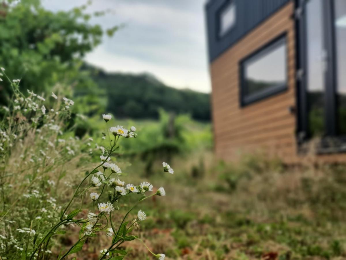Pop Tiny House Balaton Apartment Kaptalantoti Екстериор снимка